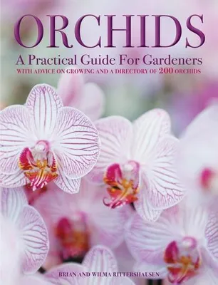 Image de Orchids