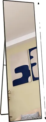Image de Miroir en pied, design moderne et minimaliste, cadre robuste en aluminium, noir