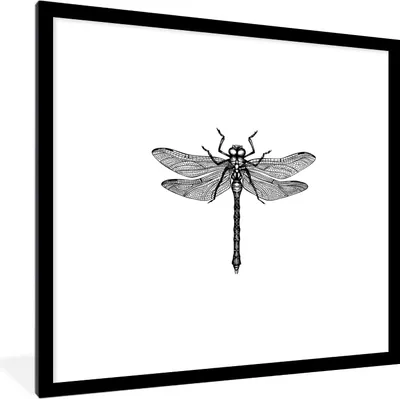 Produktbild von MuchoWow® Gerahmtes Poster Libelle - Insekten - Retro - Schwarz und weiß 40x40 cm - Poster mit Schwarzem Bilderrahmen Wandposter Rahmen Foto Bilder - Poster - Plakat im Rahmen