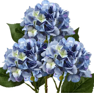 Immagine prodotto di Set di 3 ortensie artificiali rosse da 53 cm per decorazione