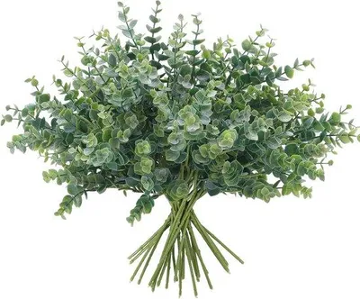 Immagine prodotto di Steli di eucalipto freschi - 12 pezzi - Piante da interno - Foglie realistiche - Verde
