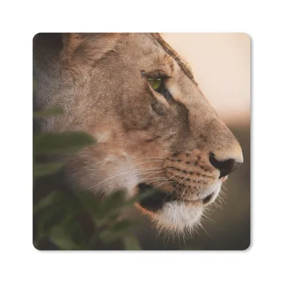 Produktbild von MuchoWow® Mauspad Mousepad Löwe - Wilde Tiere - Dschungel 20x20 cm - Mousepads - Maus Mat - Pad - Mausunterlage - Desk Mat - Bureauartikeln