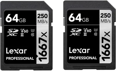 Produktbild von Lexar Professional 1667x SD Karte 64GB – Hochgeschwindigkeit für Profis