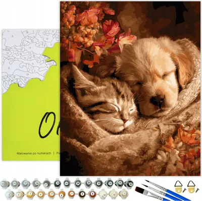 Produktbild von Malen nach Zahlen Erwachsene & Kinder Tiere Katze Hund 50x40 - 29 Acrylfarben, Leinwand mit Holzrahmen, 3 Pinseln und Zubehör Oh Art!
