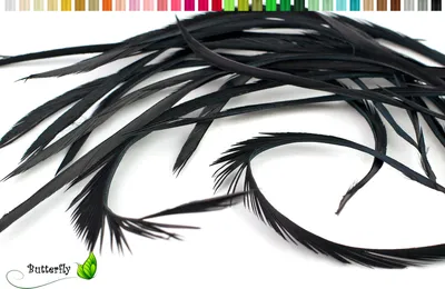 Produktbild von 3g Gänse Biots 10-18cm, Farbauswahl:schwarz 030