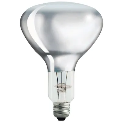 Image de Philips Lampe à infrarouge BR125 IR 250W E27 230-250V CL