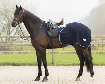 Produktbild von QHP Ausreitdecke Quarter aus Wolle - navy