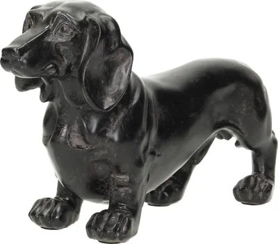 Produktbild von Dekofigur Dachshund 39x9x15cm