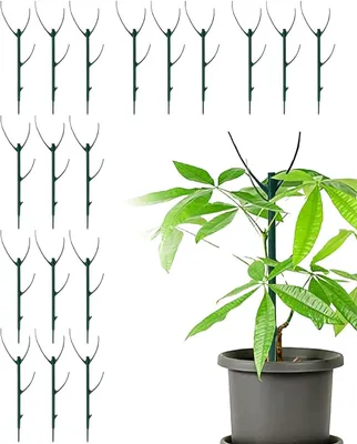 Image de Lot de 6 supports pour plantes grimpantes, en plastique, robustes