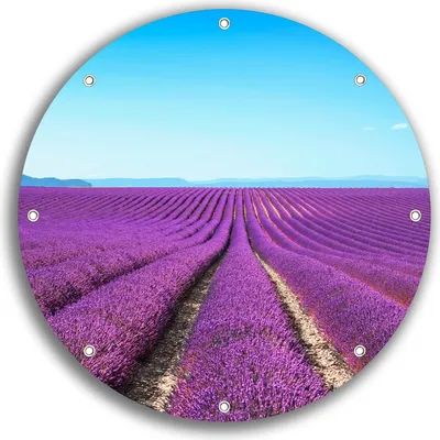 Produktbild von Wallario rundes Outdoor-Poster für Garten oder Balkon, Motiv Lavendelfeld unter blauem Himmel, 30 cm Durchmesser