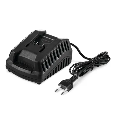 A black battery charger with a power cord and plug, shown on a white background.