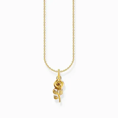 Produktbild von Thomas Sabo Love & Symbols KE2269-413-39-L45V Damenhalskette