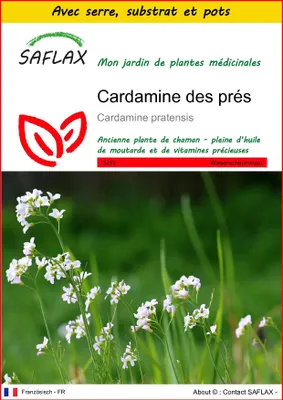 Image de SAFLAX Ensemble de culture - Cardamine des prés - 100 graines - Cardamine