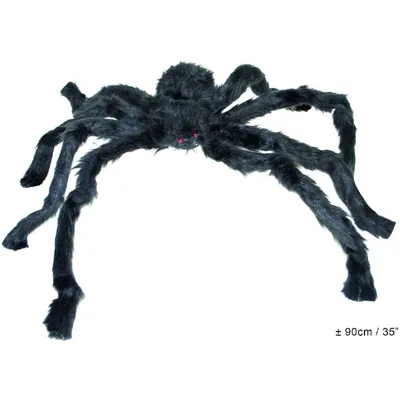 Image de Araignée d'Halloween noire, 90 cm
