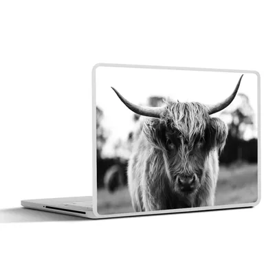 Produktbild von MuchoWow® Laptop Aufkleber Sticker Cover Schottischer Highlander - Kuh - Gras - Tiere - Natur 36.5x27.5 cm - Laptop-Sticker
