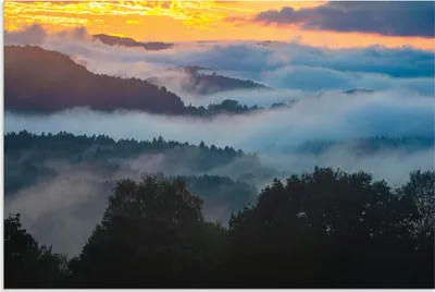 Produktbild von ARTland Wandbild Alu für Innen & Outdoor Bayerischer Wald im Sonnenuntergang Größe: 90x60 cm