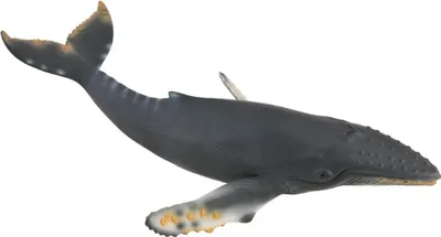 Collecta Sea Life Sägefisch Spielzeugfigur | Handbemalt, Naturgetreu | Ca. 16 Cm, Pädagogisch Wertvoll