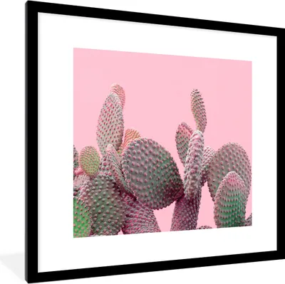 Produktbild von MuchoWow® Gerahmtes Poster Kaktus - Pflanzen - Sommer 40x40 cm - Poster mit Schwarzem Bilderrahmen Wandposter Rahmen Foto Bilder - Poster - Plakat im Rahmen