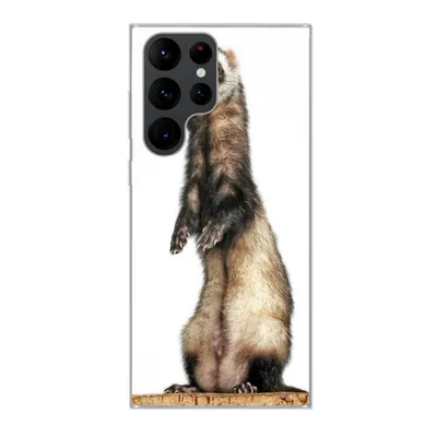 Produktbild von MuchoWow® Handyhülle Schutzhülle Hülle für Samsung Galaxy S22 Ultra Frettchen - Tiere - Fell Silikon Softcase Handy Hülle - Abbildung