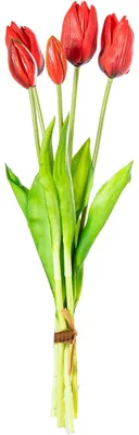 Künstliche Tulpen, 8er Set, Polyester, Rot, 43 cm