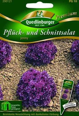 Produktbild von Pflücksalat Jenny | Pflücksalatsamen von Quedlinburger