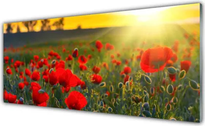 Produktbild von Küchenrückwand aus Glas 125x50cm Spritzschutz Wiese Blumen Natur