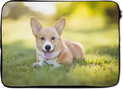 Produktbild von MuchoWow® Laptop Hülle 14 ZollWelsh Corgi Welpe Laptoptasche - Laptoptasche - Stoßsicher - Schutzhaube