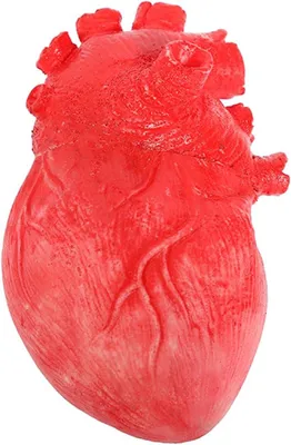 Productafbeelding van Squeeze heart prank props - Stressverlichtende angst speelgoed - Spookhuis Pranks