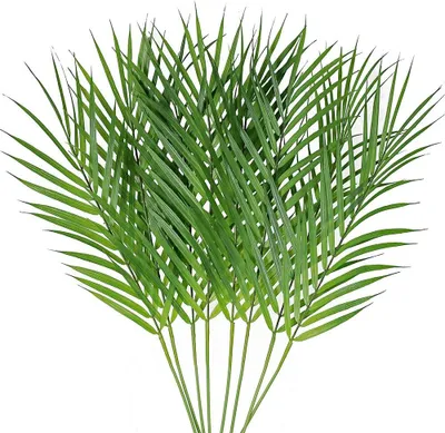 Produktbild von Künstliche Areca-Palmenblätter, Stiele, Kunstpalmenblätter, Pflanzen, Kunstmonsterablätter für Palmsonntag, Hochzeit, Party, 8 Stück