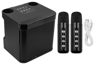 Karaoke-Lautsprecher mit 2 Mikrofonen, Bluetooth, 10 W, 1500 mAh