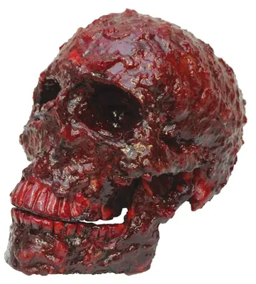 Produktbild von Schorf Skelett Schädel Dekoration - Halloween deko