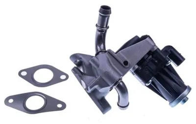Imagen del producto de EBG Ventil EGR para Citroën, Ford, Peugeot. Códigos: 9800555380, 1730360, 1835009, 1895826