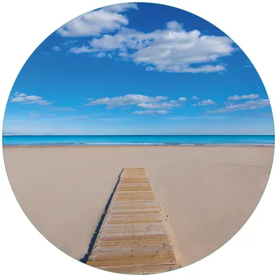 Produktbild von Wallario Premium Glasbild, freischwebende Optik, kräftige Farben, rund 50cm Durchmesser, Motiv Auf dem Holzweg zum blauen Meer