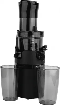 Image de Gastroback 40146 Slow Juicer Vita Fresh Centrifugeuse noire