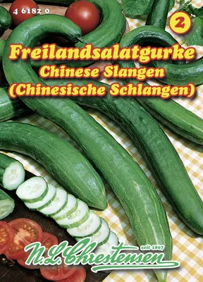 Produktbild von Freilandsalatgurke Chinesische Schlangen | Freilandgurkensamen von N.L. Chrestensen