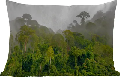 Produktbild von MuchoWow® Outdoor Kissen - Dschungel - Baum - Nebel - Mädchen - Kinder - 60x40 cm - Wetterfest - Lounge Kissen - Zierkissen - Kissen für Innenräume