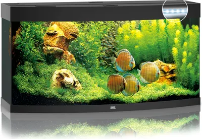 Productafbeelding van Juwel Vision 260 LED | 260L | 121 x 46 x 64CM Zwart