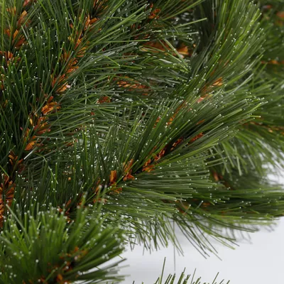 Obrázok produktu pre Vianočná girlanda Triumph Tree Forest Frosted - L180 cm - zelená