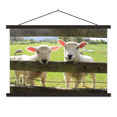Produktbild von MuchoWow® Textilposter Schafe - Tiere - Bauernhof 60x40 cm mit schwarzem Rahmen - Hölzernes