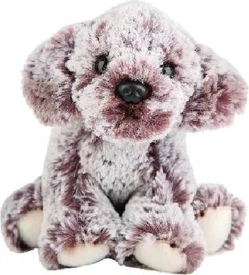 Produktbild von Suki 12129 Cockerpoo Hund 13 cm Kuscheltier Kollektion von Suki