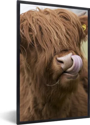 Produktbild von MuchoWow® Gerahmtes Poster Schottischer Highlander - Braun - Tiere 60x90 cm - Poster mit Schwarzem Bilderrahmen Wandposter Rahmen Foto Bilder - Kunst
