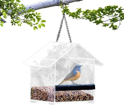 Image de Mangeoire en acrylique transparent avec ventouses, pour mésanges, pigeons et petits oiseaux sauvages