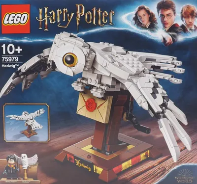 Produktbild von LEGO 75979 Harry Potter Hedwig die Eule, Ausstellungsmodell, Sammlerstück mit beweglichen Flügeln, Geburtstagsgeschenk für Kinder mit Mini-Figuren