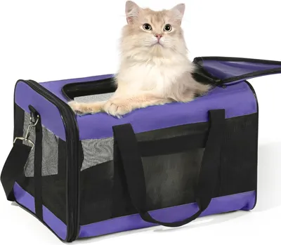 Produktbild von Faltbare Hunde- und Katzenbox - Reisefreundlich - M