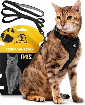 Produktbild von Kleiner Katzentuig mit Katzenleine - Katzenharnas in Schwarz - Maß S (22-27 cm) (31-41 cm)