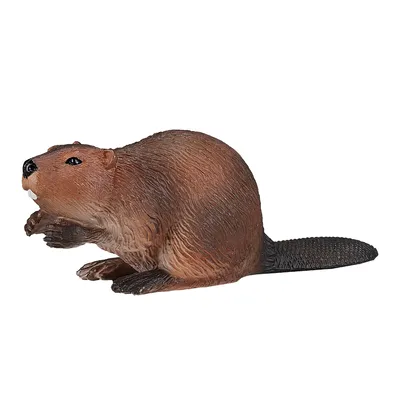 Zdjęcie produktu dla Mojo Fun Beaver, 3 lat(a), Wildlife, Brązowy, Czarny, Polichlorek winylu (PVC)