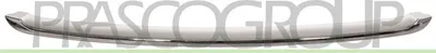 Produktbild von PRASCO Kühlergrill-Zierleiste MN3102205 für MINI Roadster (R59)