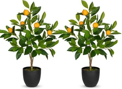 Produktbild von Künstliche Pflanzen Dekoration, 60 cm, schwarz, Orange Früchte, Kunststoff