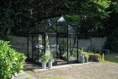 Produktbild von Gewächshaus Halls Icon 6 3,7 m² Sicherheitsglas 3 mm 192,5 x 192,5 cm schwarz