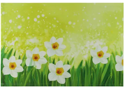 Produktbild von Tischset Platzset MOTIV Ostern Osterglocken Blumen